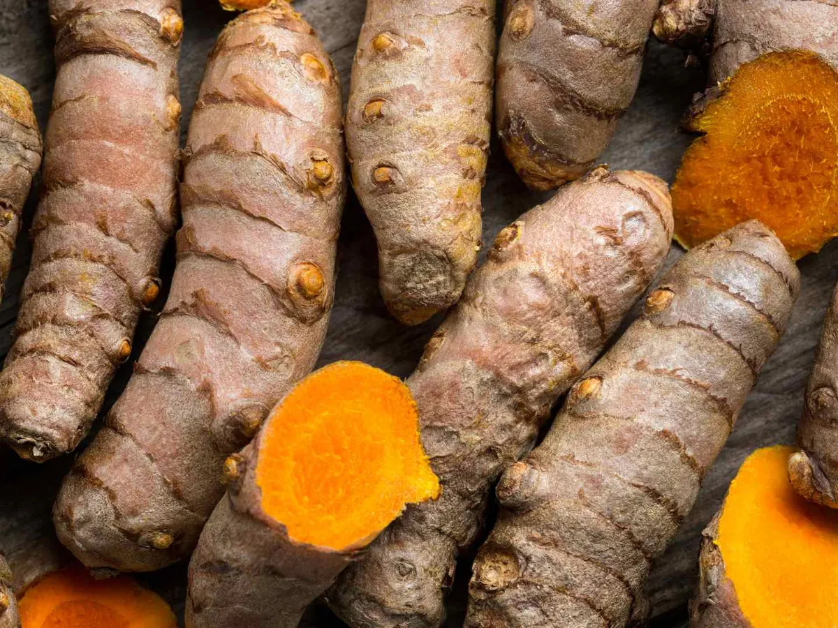 A dense pile of fresh turmeric rhizomes with cut orange centers