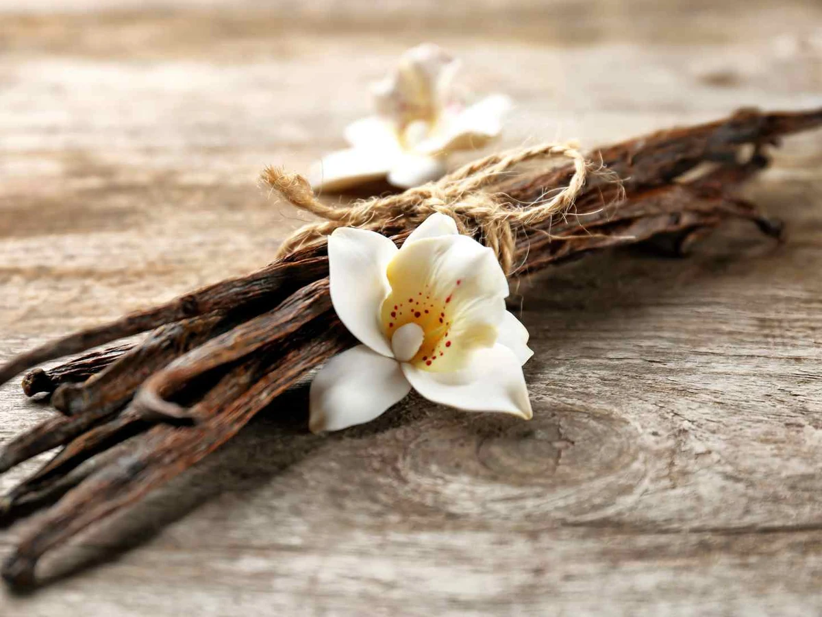 Dark vanilla beans tied with twine beside a white vanilla flower.