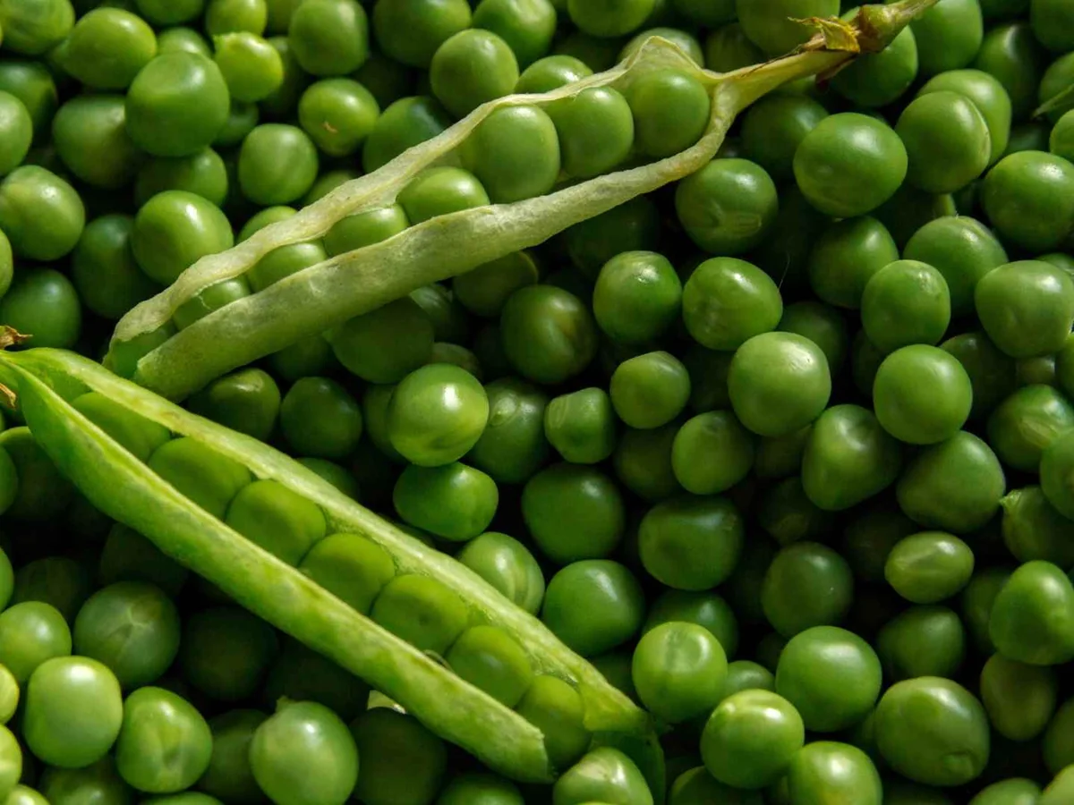 Loose green peas and several open pods filling the frame
