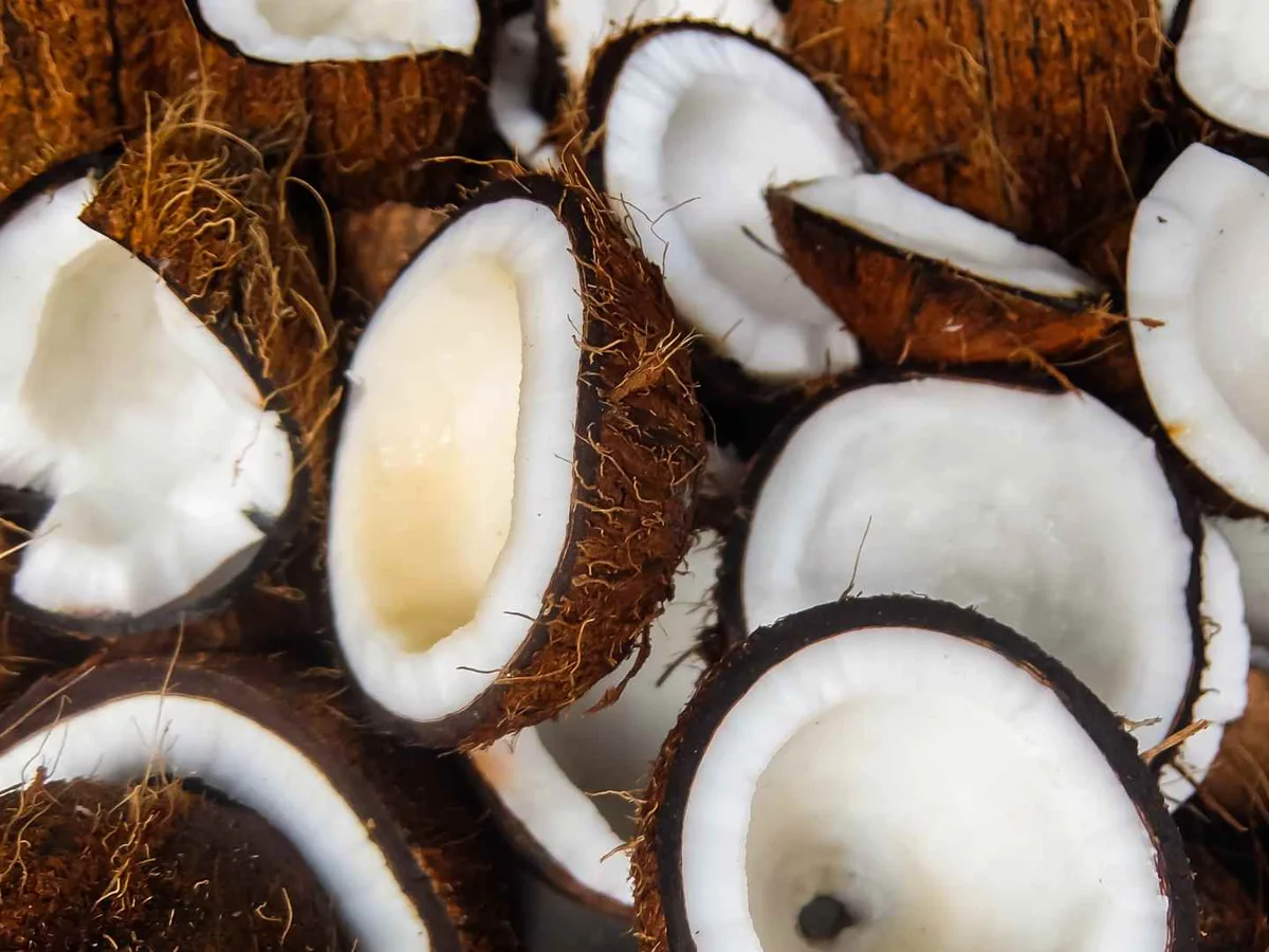Broken brown coconut shells with pieces of white flesh