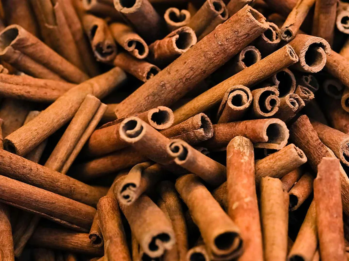 A dense pile of whole cinnamon sticks