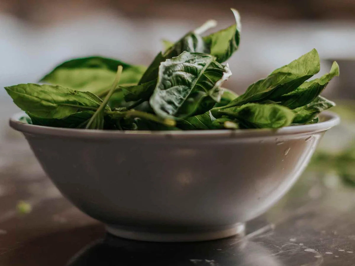 Spinach leaves in a metal bowl against a dark background
