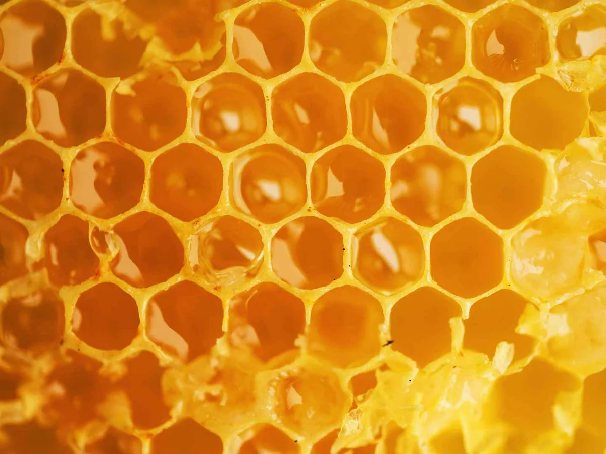 Close-up of amber honeycomb cells filled with honey