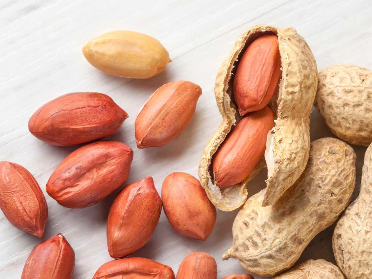 Shelled peanuts beside open and closed peanut pods