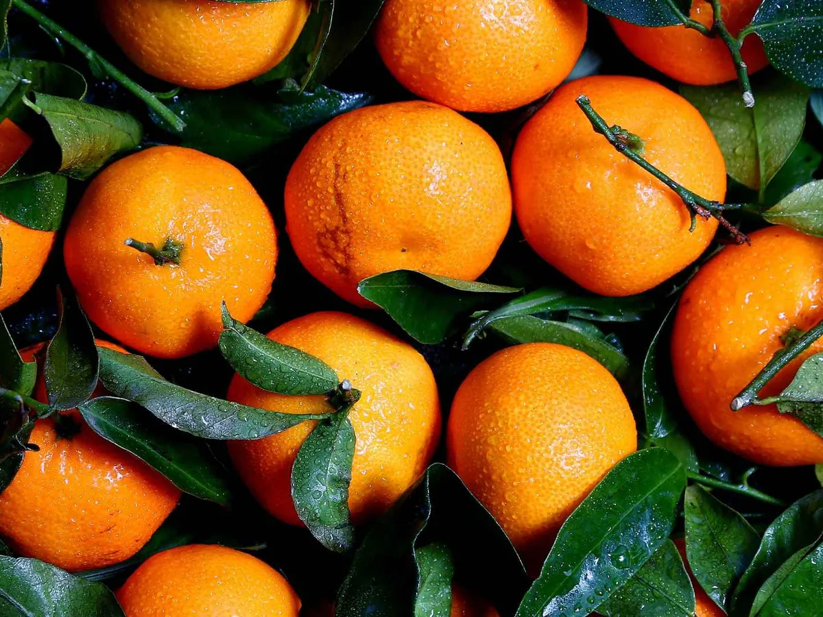 Tangerine-like citrus fruit with leaves in a market pile