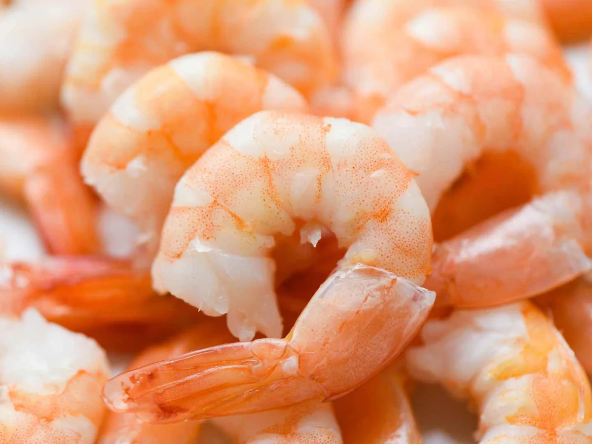 Close-up of peeled cooked shrimp