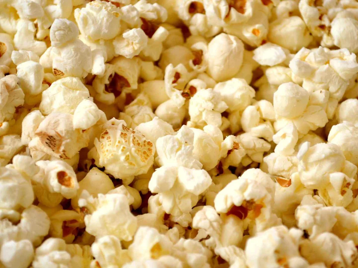 Close-up of plain popped popcorn