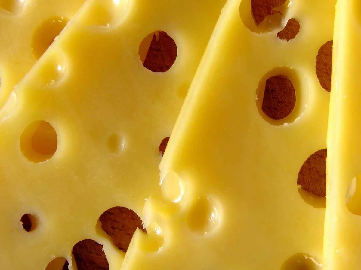 Close-up of hole-filled Swiss-style cheese wedges