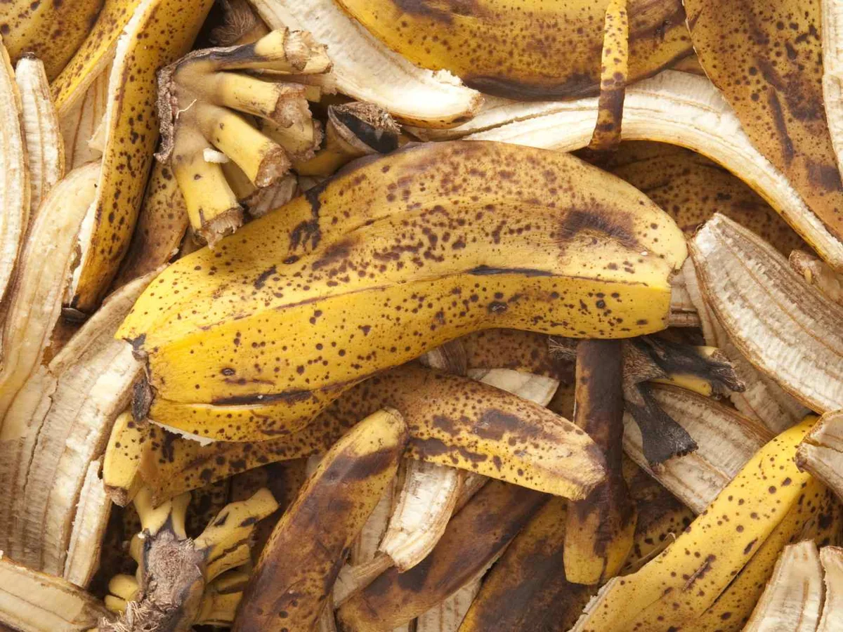 A heap of mottled yellow banana peels
