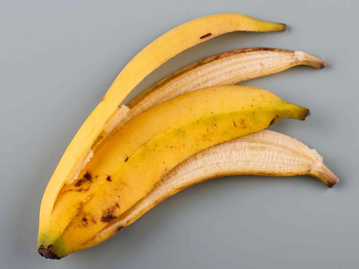 A single partially peeled banana on a gray background