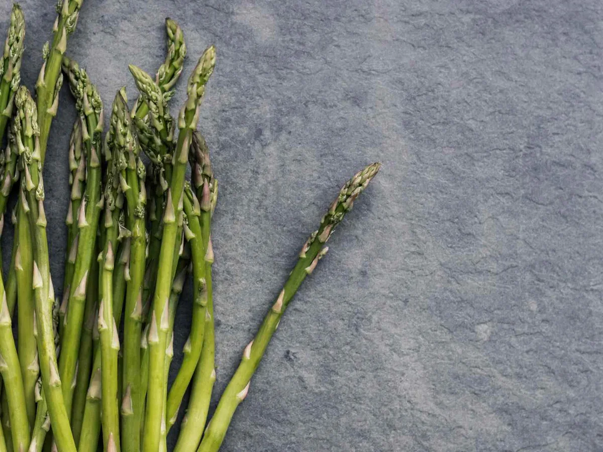 Asparagus spears arranged in a fan on a gray surface