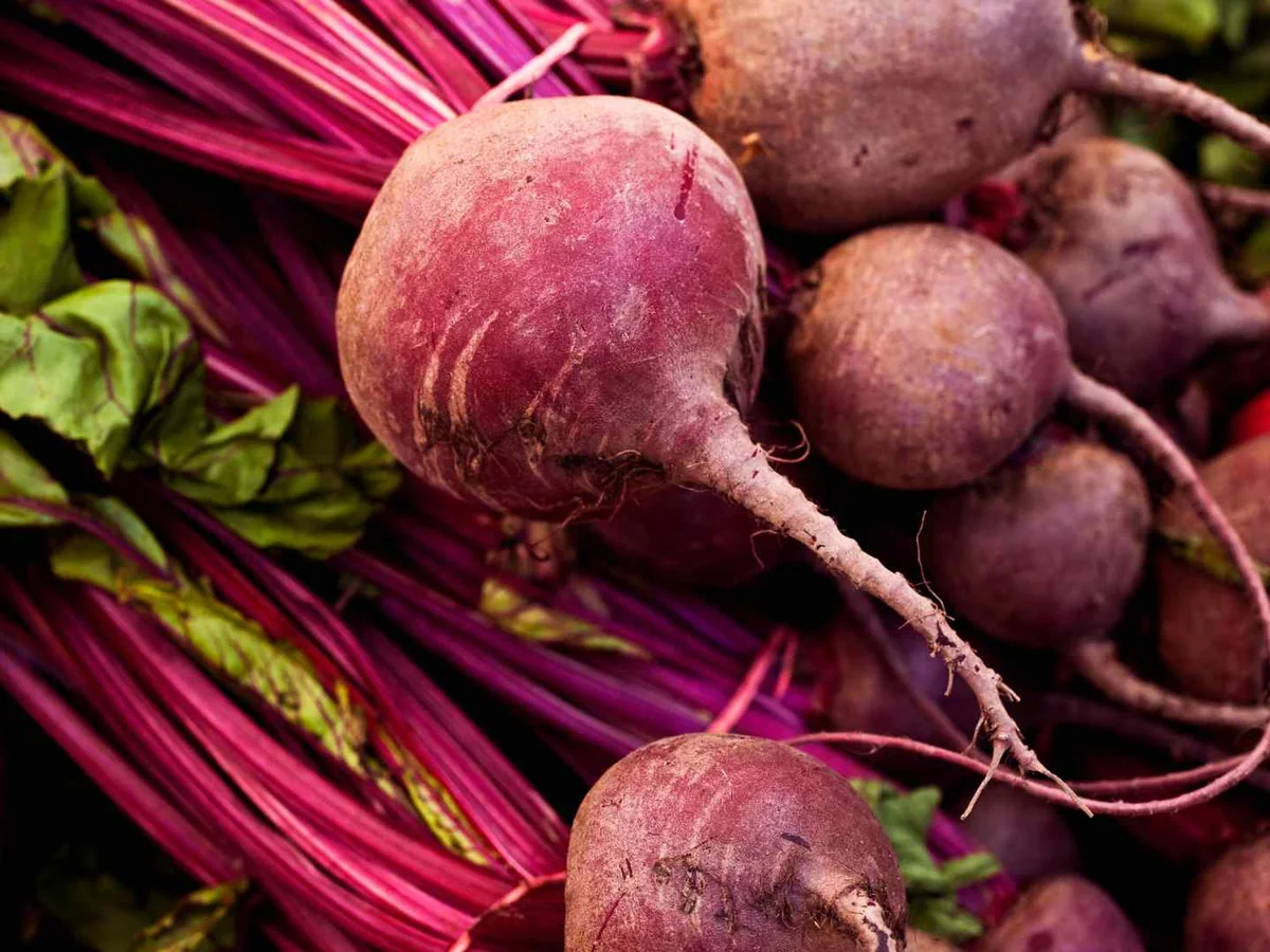 Fresh red beets with roots, stems, and leaves