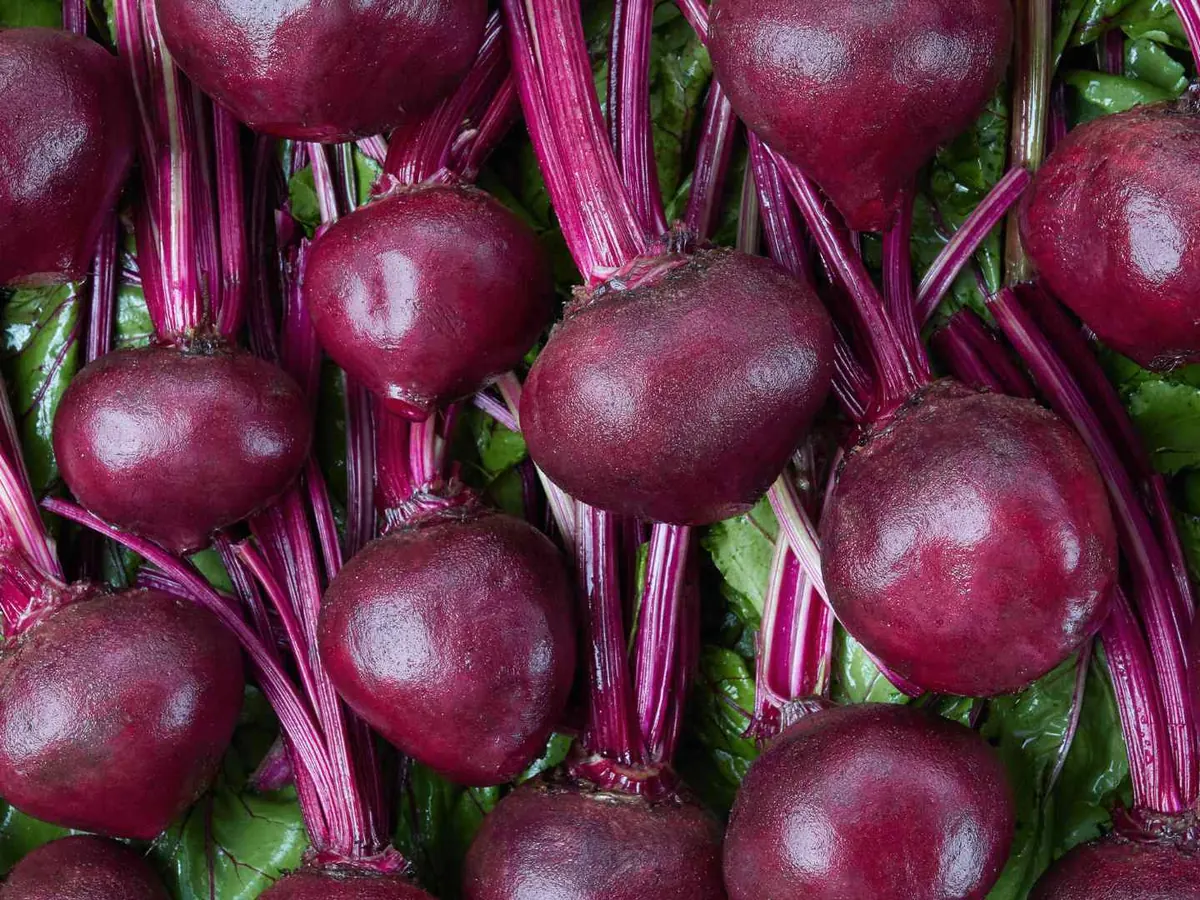 A close-up pile of red beets with leafy stems