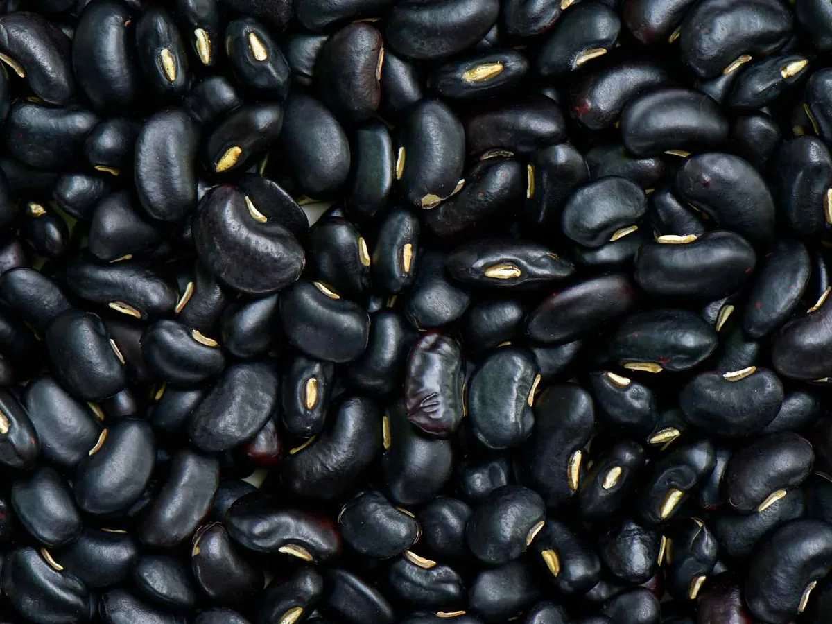 Close-up of glossy dry black beans
