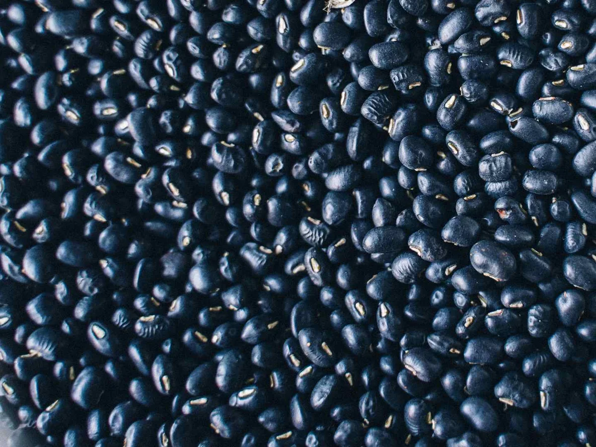 A dense spread of small dry black beans