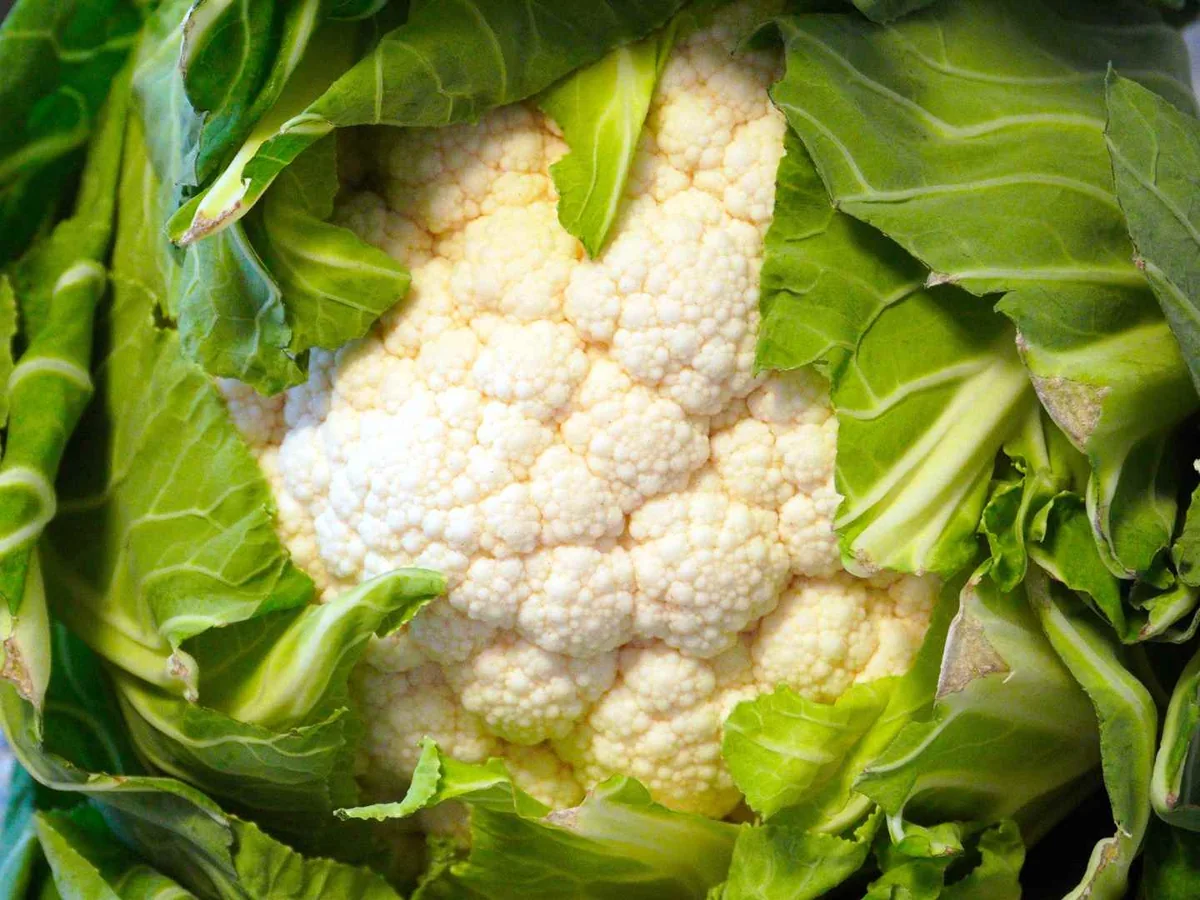 A whole cauliflower surrounded by green leaves