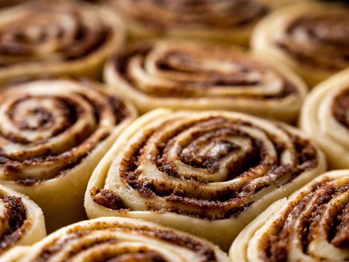 Close-up tray of unfrosted cinnamon rolls