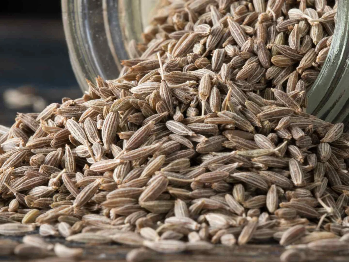 Cumin seeds spilling from a glass jar