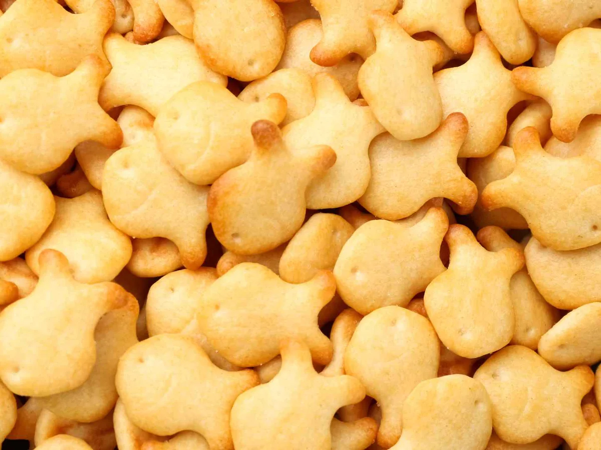Close-up layer of fish-shaped cheese crackers