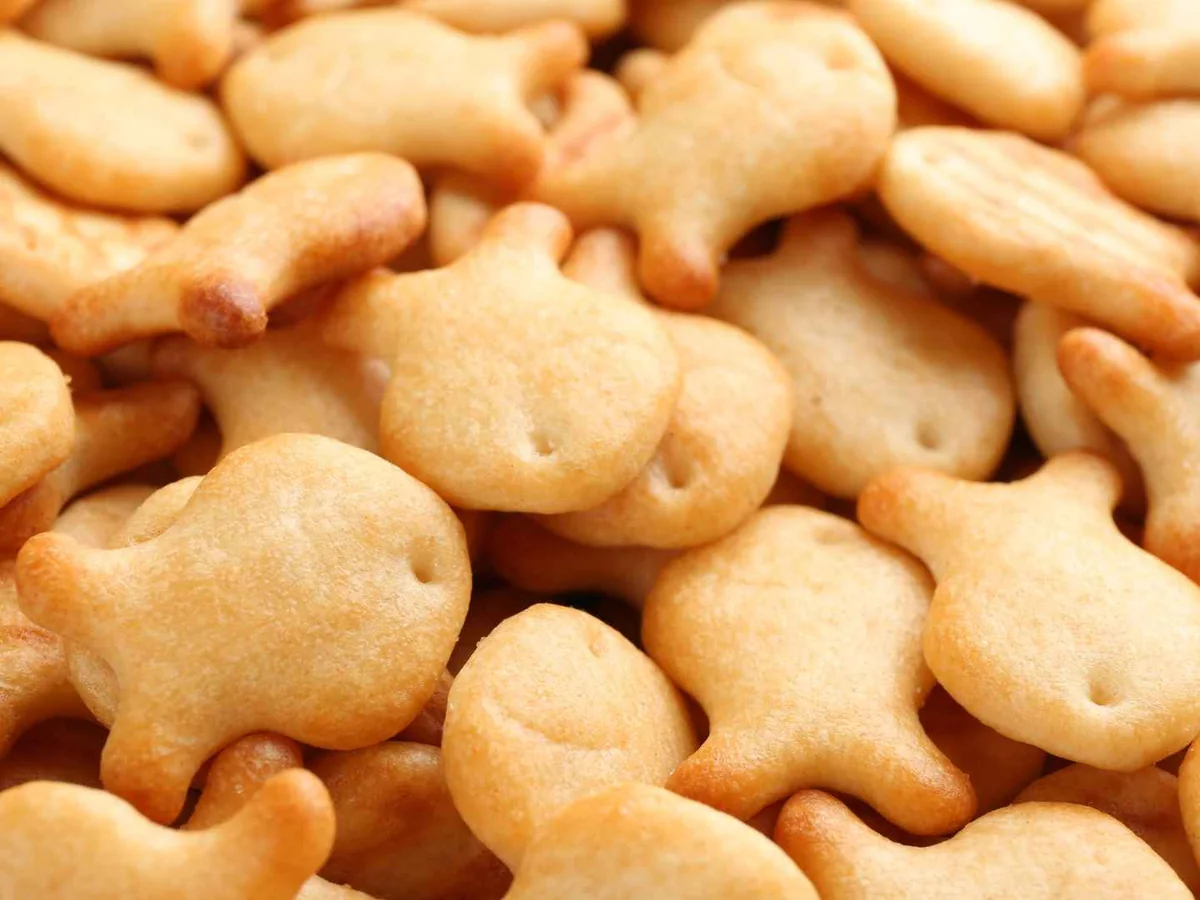Close-up pile of fish-shaped cheese crackers
