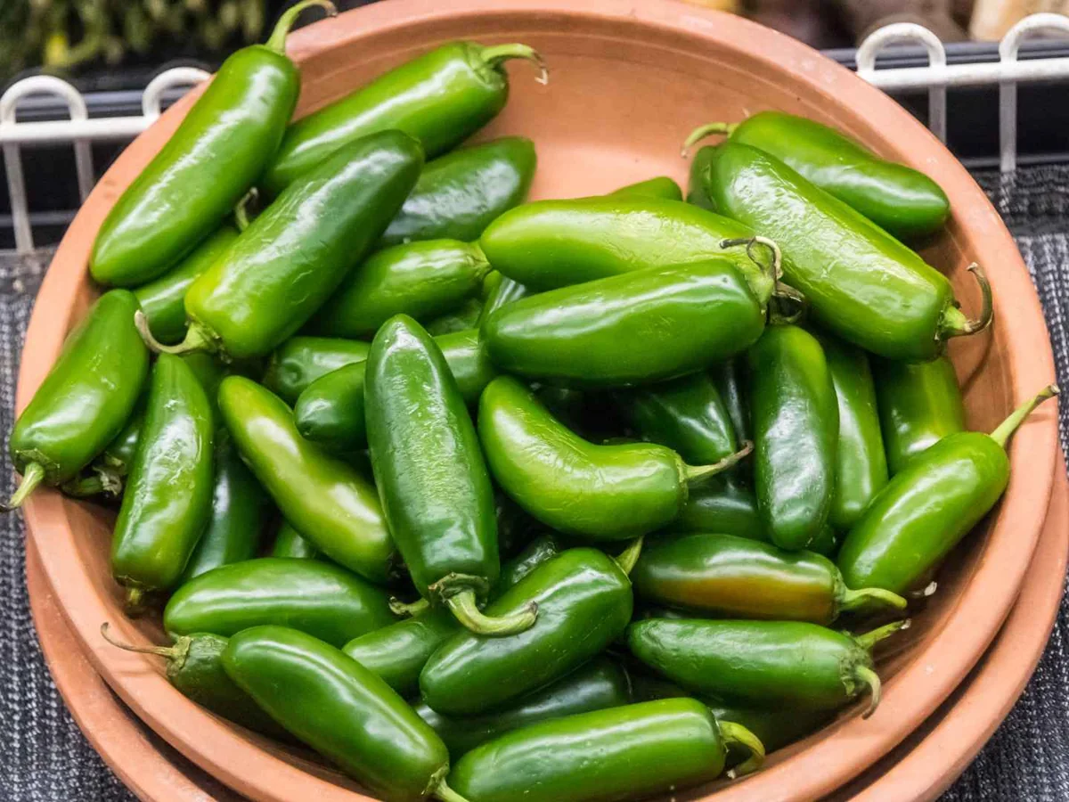 A bowl filled with whole green jalapeño peppers
