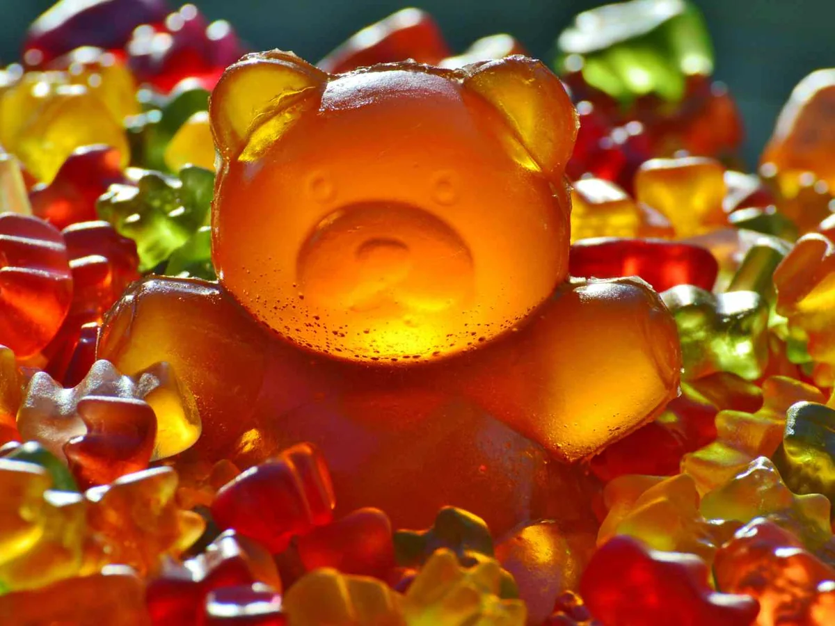 A large amber gummy bear among many smaller gummy bears