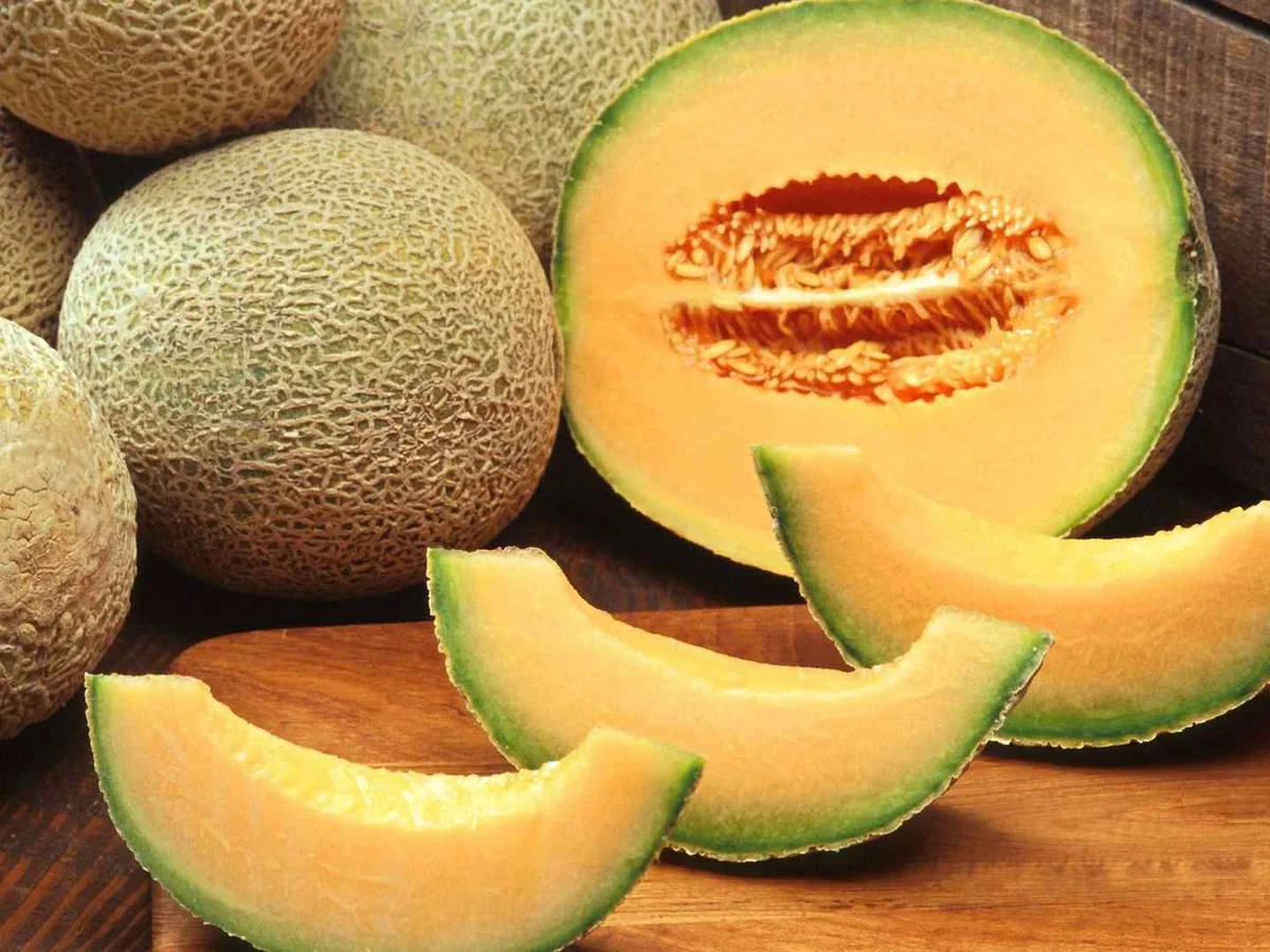 Whole netted cantaloupes with orange slices on a wooden table