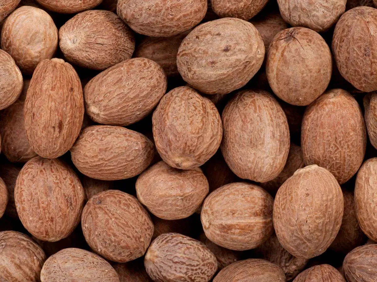 A close-up pile of whole nutmegs