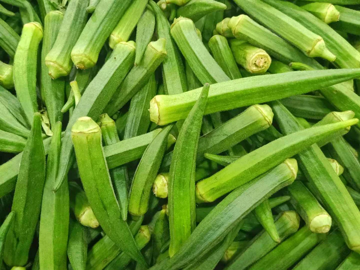 A dense pile of whole green okra pods