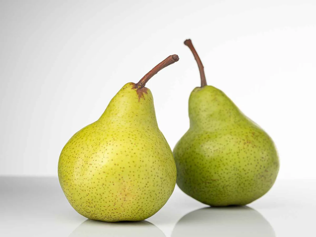 Two green pears isolated against a gray background