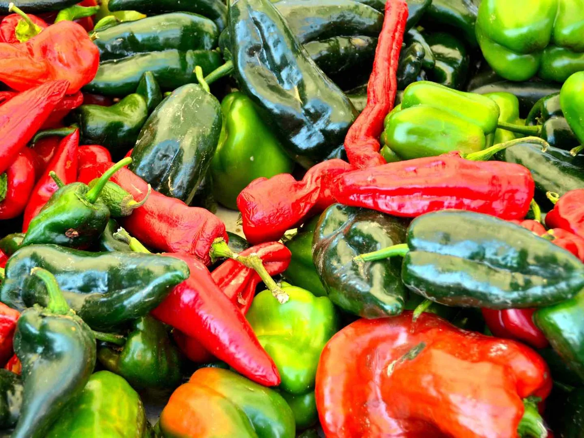 Mixed red, green, and yellow hot peppers in a market pile