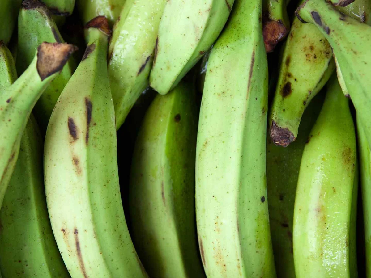 A close-up bunch of green plantains