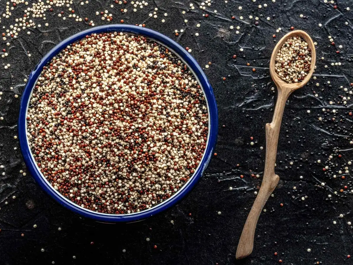 Tri-color quinoa grains in a blue-rimmed bowl