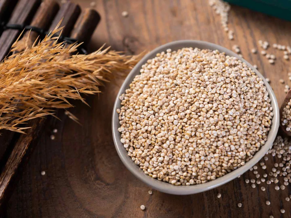 White quinoa grains in a white bowl beside wheat stalks