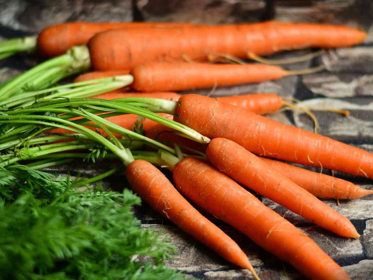 Whole carrots with leafy tops on a stone surface