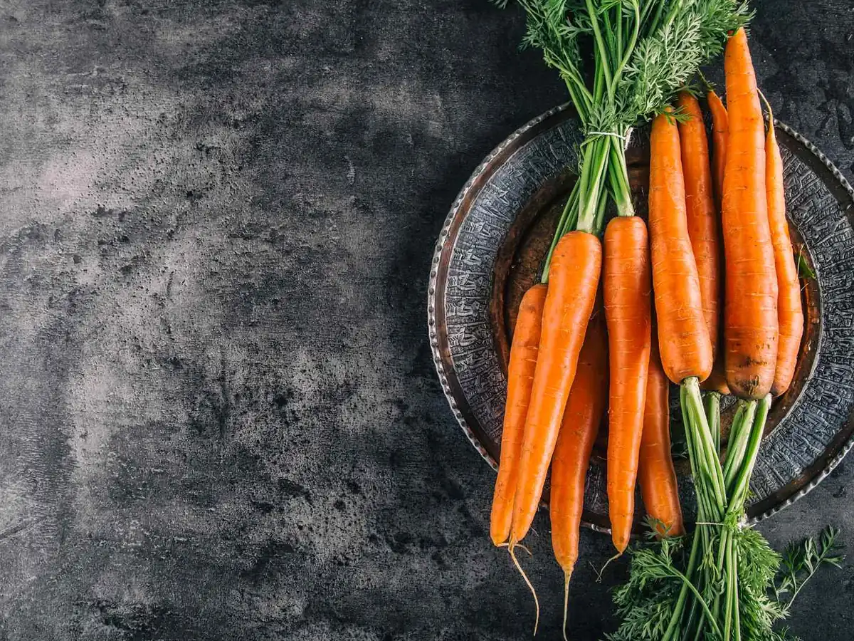 Small carrots with leafy tops arranged on a dark plate