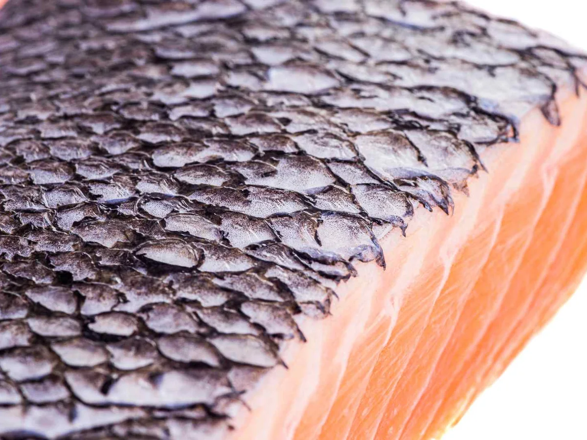 Close-up of raw salmon with silvery skin attached