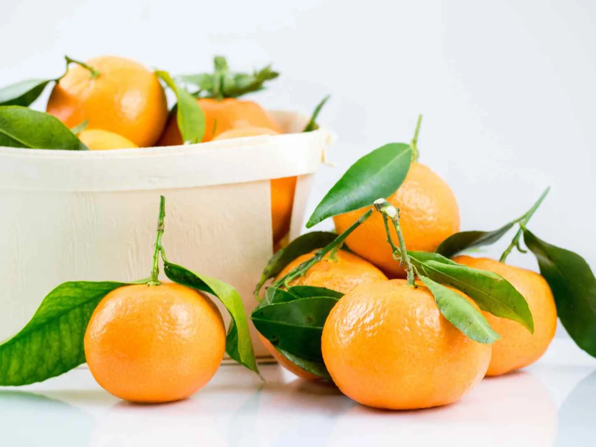 Tangerines with leaves arranged around a white bucket