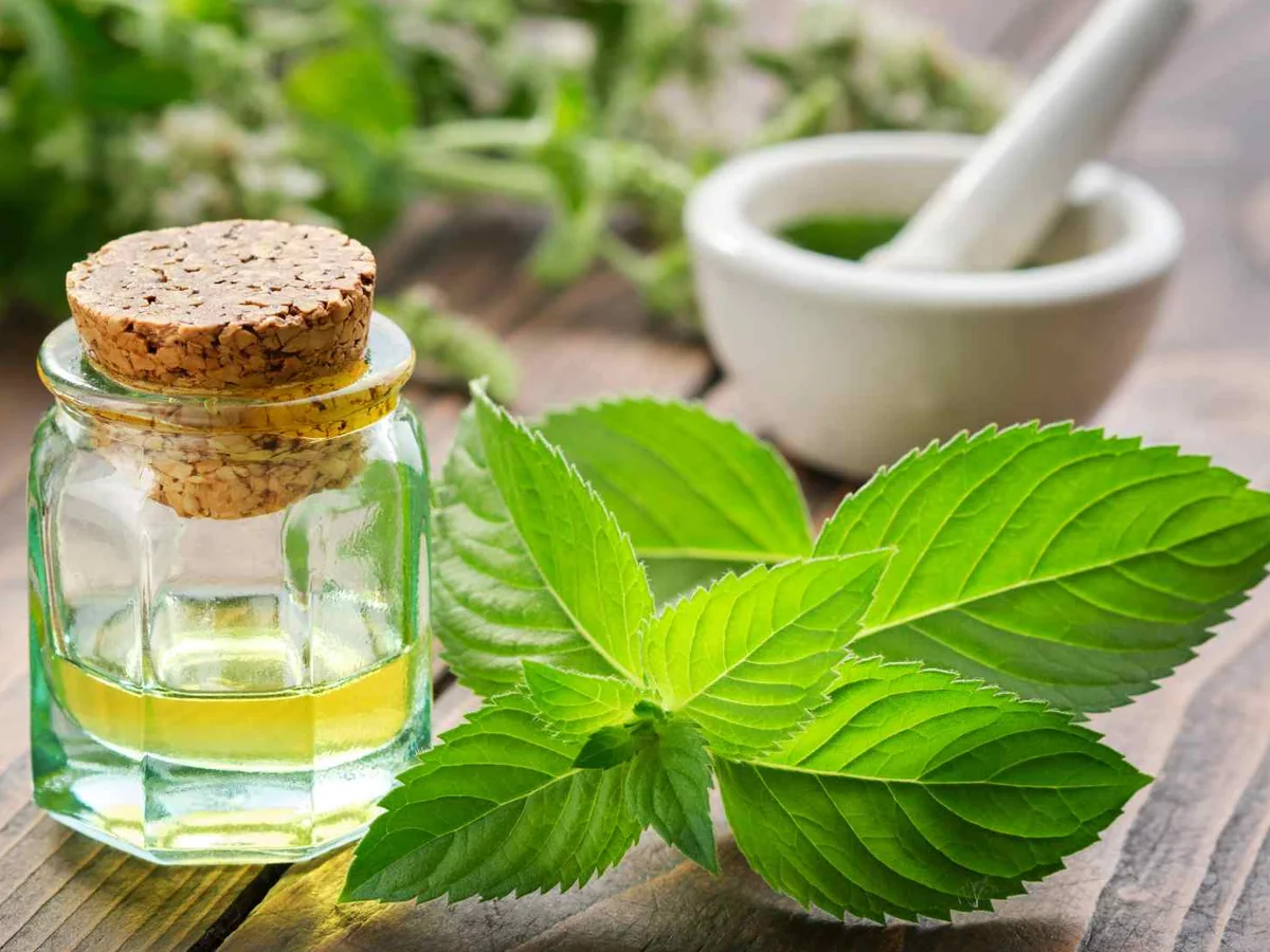 A small corked bottle of oil beside mint leaves