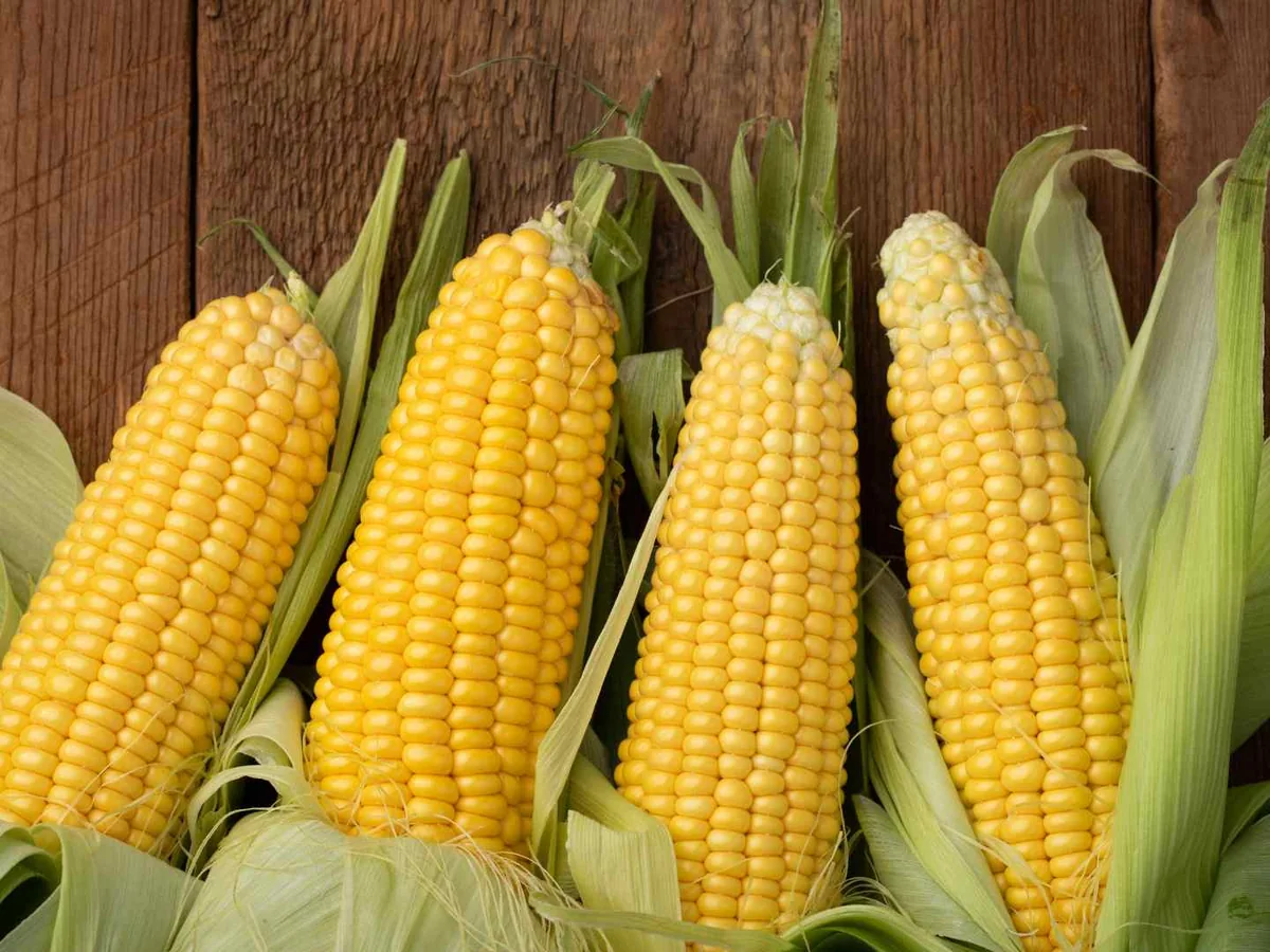 Several shucked ears of corn on a wooden surface